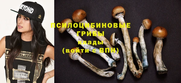 прущая мука Богородск