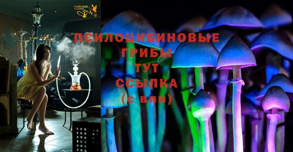 прущие крисы Армянск