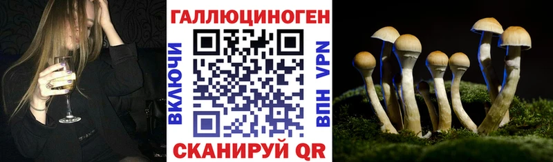 хочу наркоту  blacksprut сайт  Галлюциногенные грибы Cubensis  Сясьстрой 